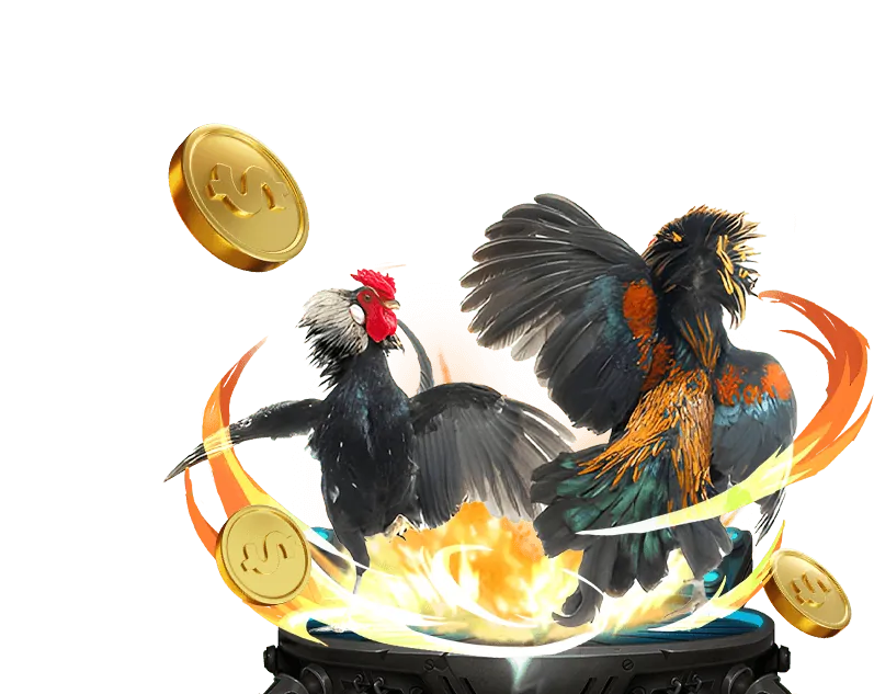 Hình ảnh chiến lược cá cược hiệu quả với kèo nhà cái số 5