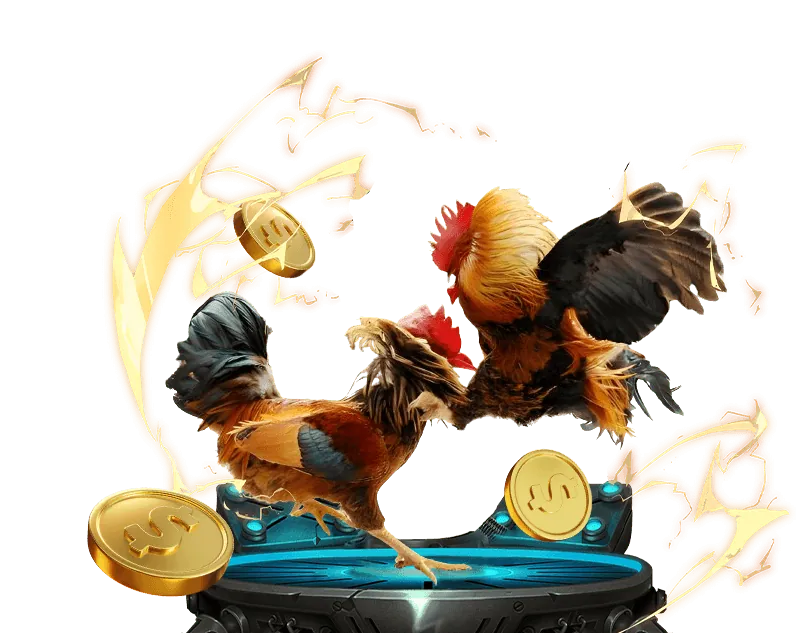 Đội ngũ chuyên nghiệp của kèo nhà cái số 5